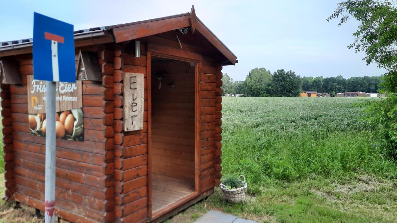 Seestern - Am Quendorfer